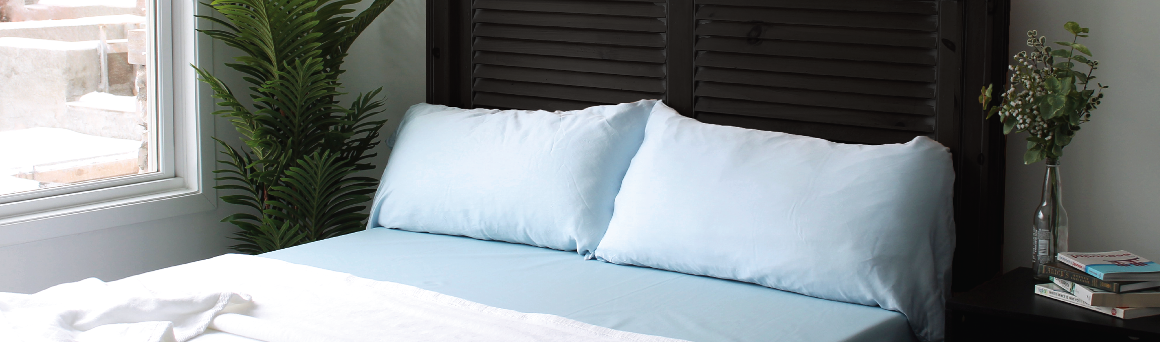 SaniSnooze Accessories