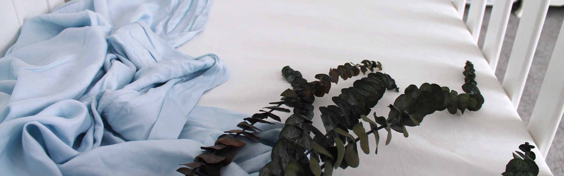 SaniSnooze_AccountLogin_ARTWORK-01